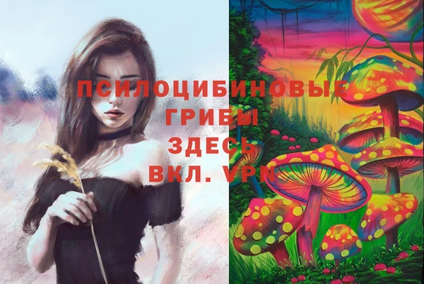 Альфа ПВП Нефтекумск