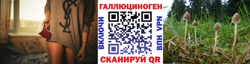 купить   Зима  маркетплейс как зайти  Галлюциногенные грибы ЛСД 