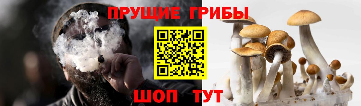 Галлюциногенные грибы Magic Shrooms  Галлюциногенные грибы прущие грибы  Зима  Вход с VPN 