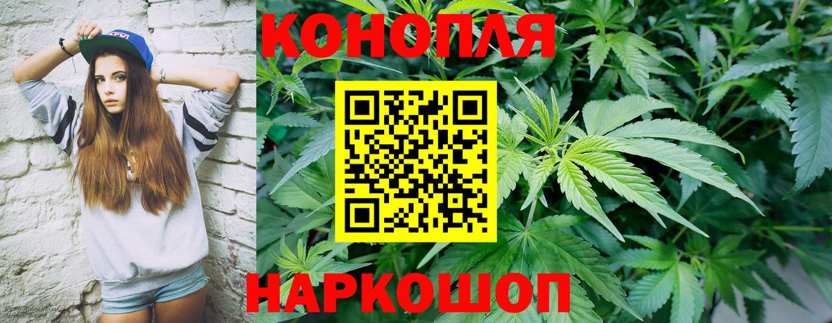 Зима  Каннабис планчик  Вход с VPN  МАРИХУАНА LSD WEED  Марихуана Bruce Banner 